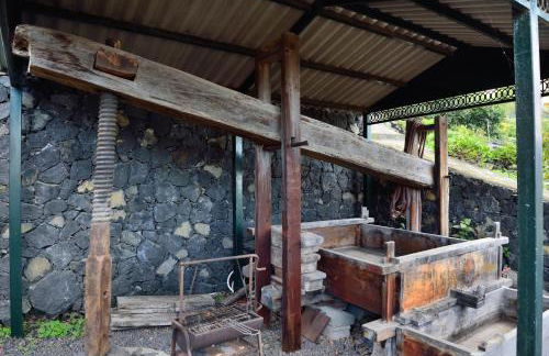 Corral de Payo El Lagar - Foto 20