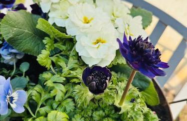 Ferienhaus Im Grünen - Foto 3