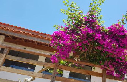 Chácara Sonia & Mineiro - Foto 22