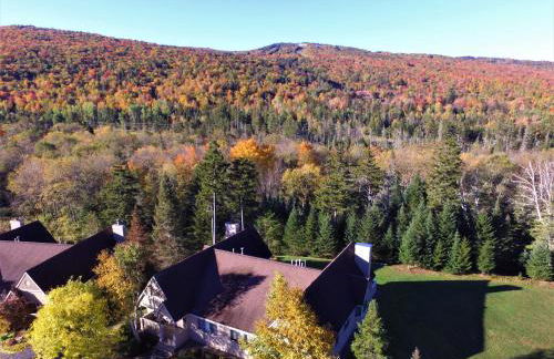 F8 Luxurious Mt Washington Hotel golf course home Wifi cable air conditioning - Foto 8