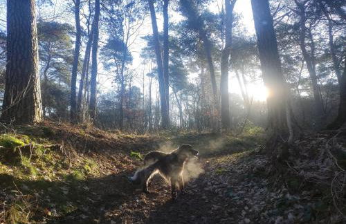 Mamat Ferienwohnungen - Foto 25