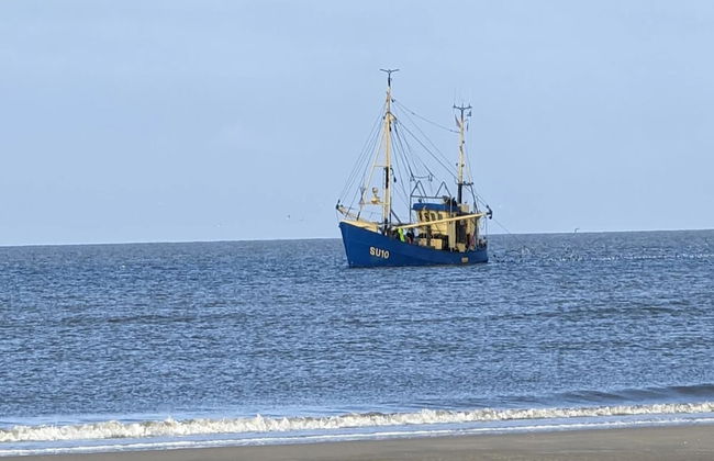Aalernhus Residenzen in St.peter-ording - Photo 26