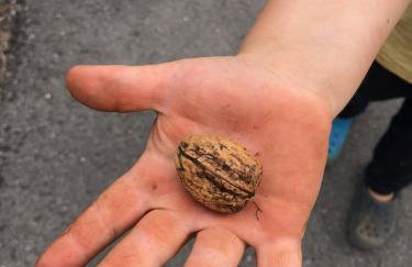 Casa do Papillon - Foto 17