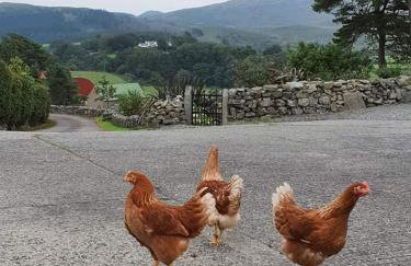 Gorse Hill Farm - Photo 8