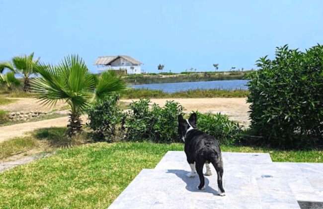 HOP Aruba Exclusiva Oasis y Playa en Chincha - Foto 34