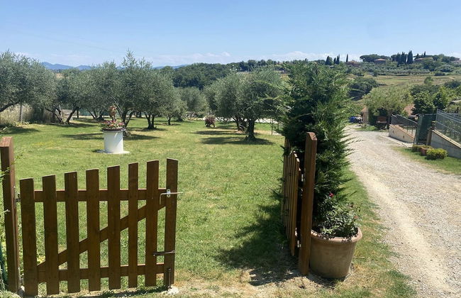 La Casa Del Sole in Casamaggiore - Foto 35