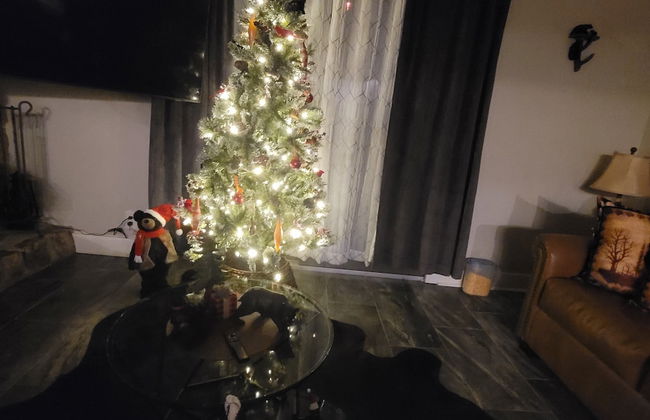 The Bear Den - Foto 19