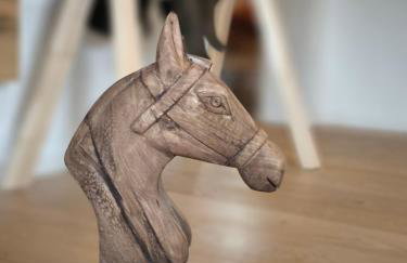 NEU - Wild Western Wohnung - 110 qm umgeben von Pferden am Fluss - Foto 18