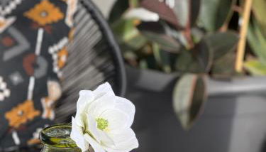 Calima house - Foto 2