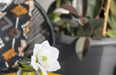 Calima house - Foto 2