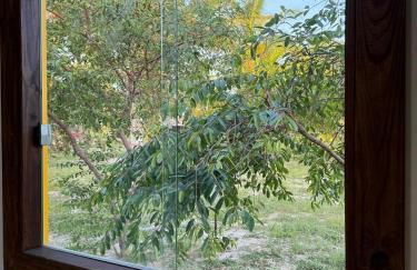 Container Azul na beira do rio e a poucos metros do mar em mogiquiçaba bahia - Foto 7