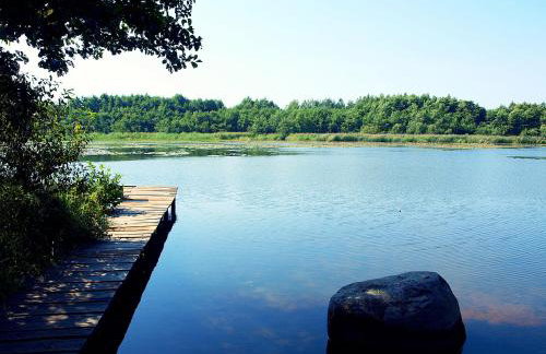 Domek Letniskowy Grażyna - Foto 50