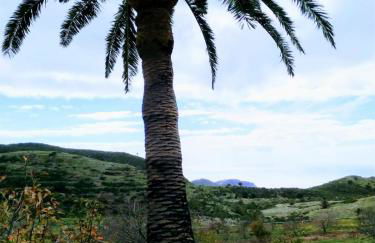 Finca Ulises Las Hayas - Foto 25