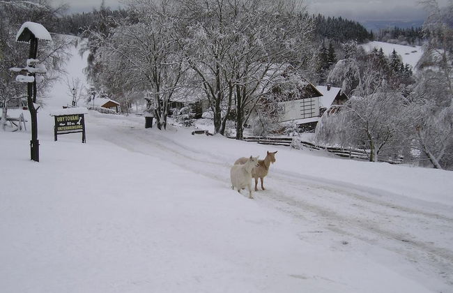 Apartment Pavla With 3 Bedrooms and 1 Bathrooms - Photo 36