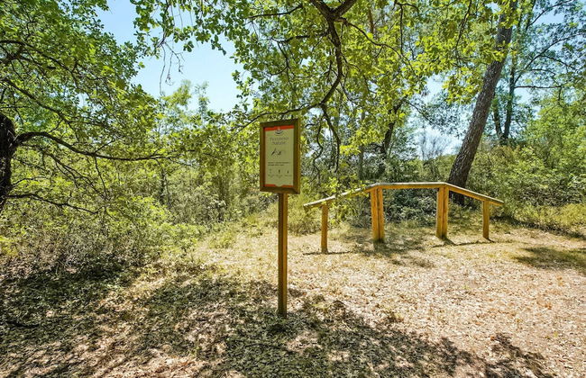 Holiday Home in Castiglione Near the Lake - Foto 26