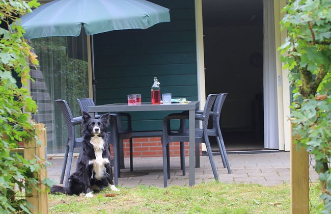 Quiet Glade Stay With Kid - Foto 21