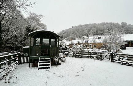 Shepherds hut, Eco, Log burner Hot tub NY moors - Foto 36