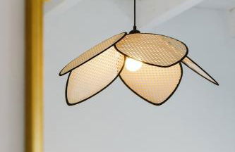 Casa De La Nobleza - Photo 19