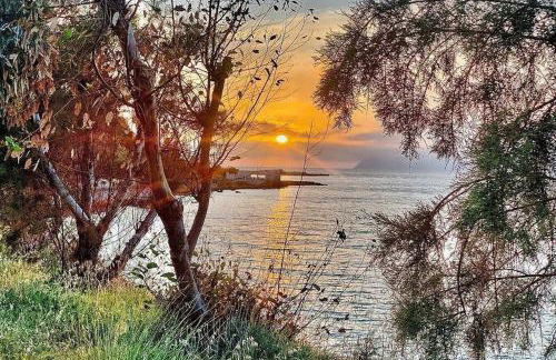 Lava House - Foto 33