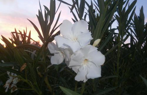 Viena Rooms & Apartments - Foto 18