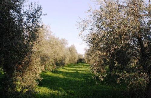 Agriturismo Vigna Mai - Foto 30