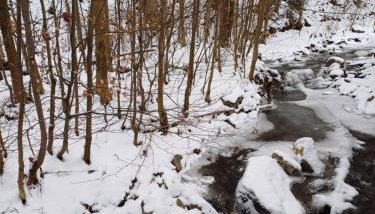 Zacisze Sokolec - Foto 3