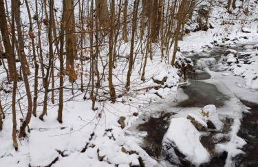 Zacisze Sokolec - Foto 3