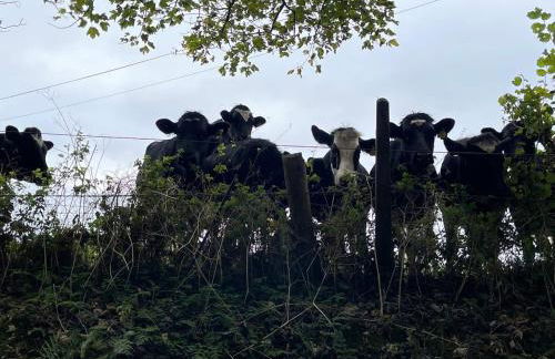 Rural, Secure Garden, Woodland Walks, 23 min to beach - Foto 36