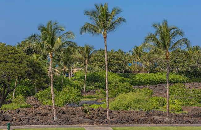 Vista Waikoloa - Foto 39