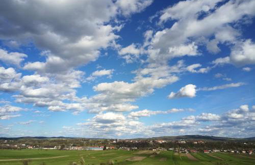 U Ewy pod Brzozami - Foto 31