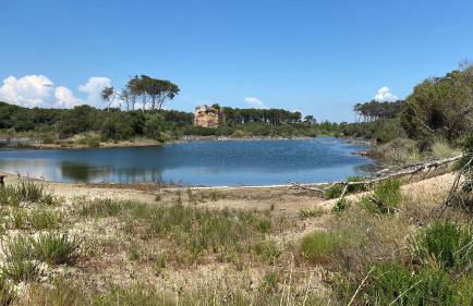 Agriturismo La Stornara - Foto 57