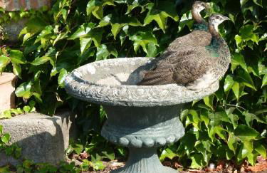 Gites De L'Etang Des Noues - Photo 48