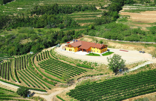 Agriturismo Acinatico Wine Relais - Foto 14