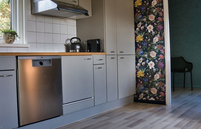 Holiday Home in Schoonloo With Balcony/terrace - Foto 36