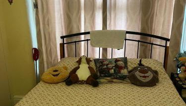 Ruskin Villa - Photo 5