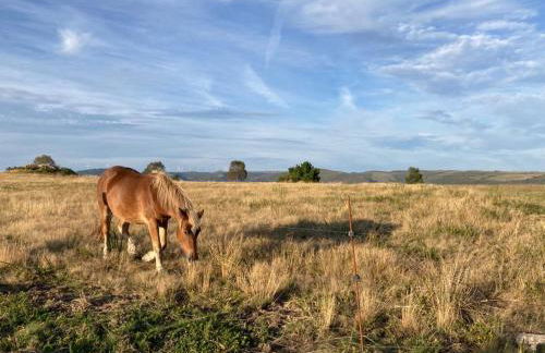 Ahío San Martín, Apartamentos Rurales Casa de la Villa - Foto 36