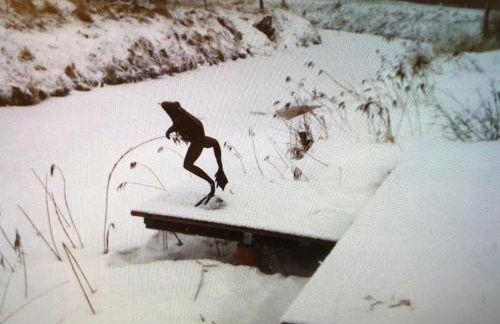 Uns Burnhuus "Vorderhuus" - Foto 23