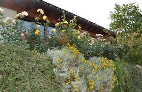 Tenuta Pizzogallo - Foto 50