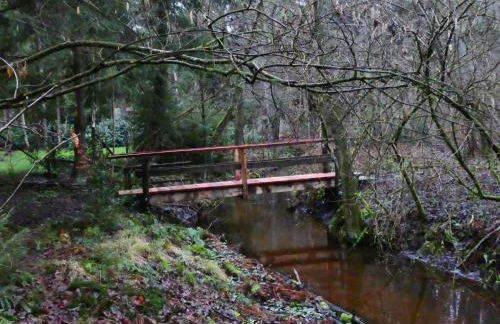 Ferienwohnung Niemann in Lutterloh - Photo 6