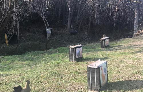 Pizzicalaluna Agriturismo Olistico sulle Colline di Pianoro - Photo 6