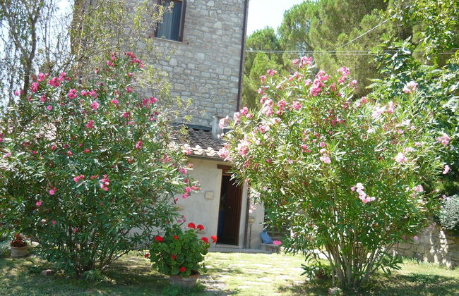 Casale Luigina - Foto 14