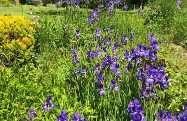 Myrtleberry Studio BnB - Foto 25