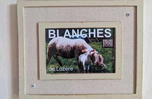 Maison de caractère avec grand terrain, proche d'Arlempdes, labels ECOGÎTE et Tourisme & Handicap - FR-1-582-118 - Foto 26