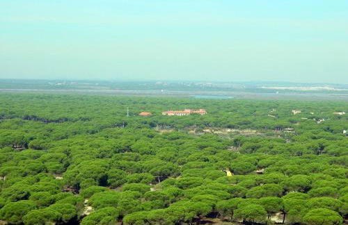 Casa Punta de Los Ingleses - Foto 24