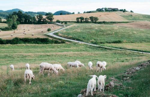 La Casetta - Foto 29