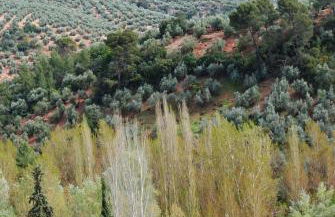 Casa Rural Ruiz Hernando - Foto 24