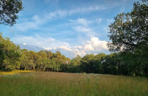 gite en pleine nature - Foto 24