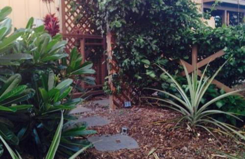 Garden Oasis at Banana Hale Studio - Foto 15