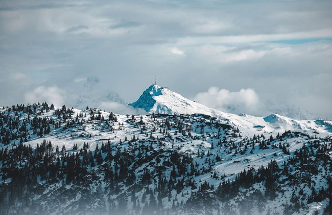 Ferienwohnung mit 2 Schlafzimmern & Sauna - Photo 16