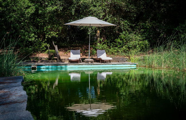 1 bedroom Apartment in Scandicci with swimming pool and garden - Photo 21